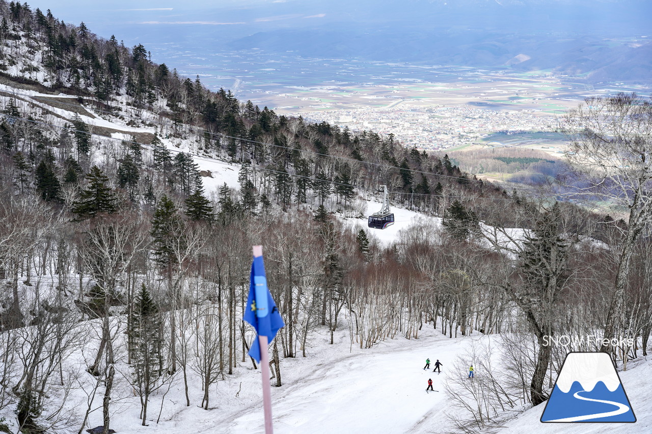 富良野スキー場 のんびりとした雰囲気漂う春のゲレンデ。そこに、サプライズゲスト・プロスキーヤー山木匡浩さん登場！